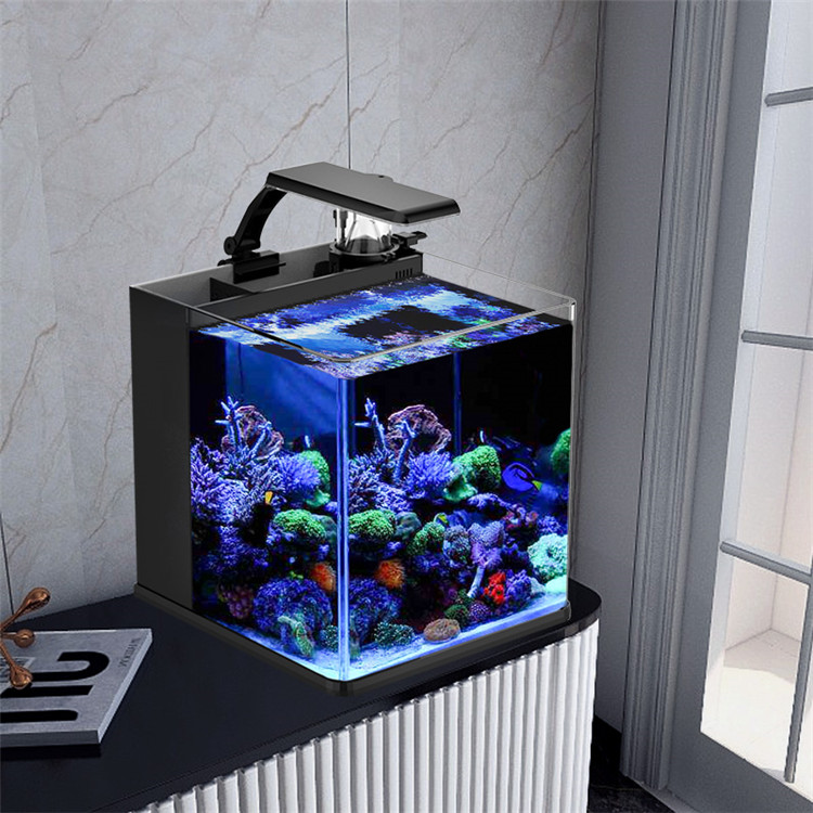 Marine Aquarium In Clearwater - Skynuo Ultra Clear Glass Mini Zoutwater