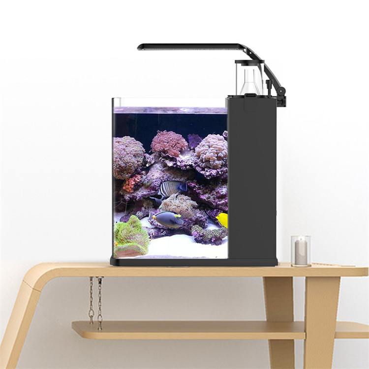 Marine Aquarium In Clearwater - Skynuo Ultra Clear Glass Mini Zoutwater