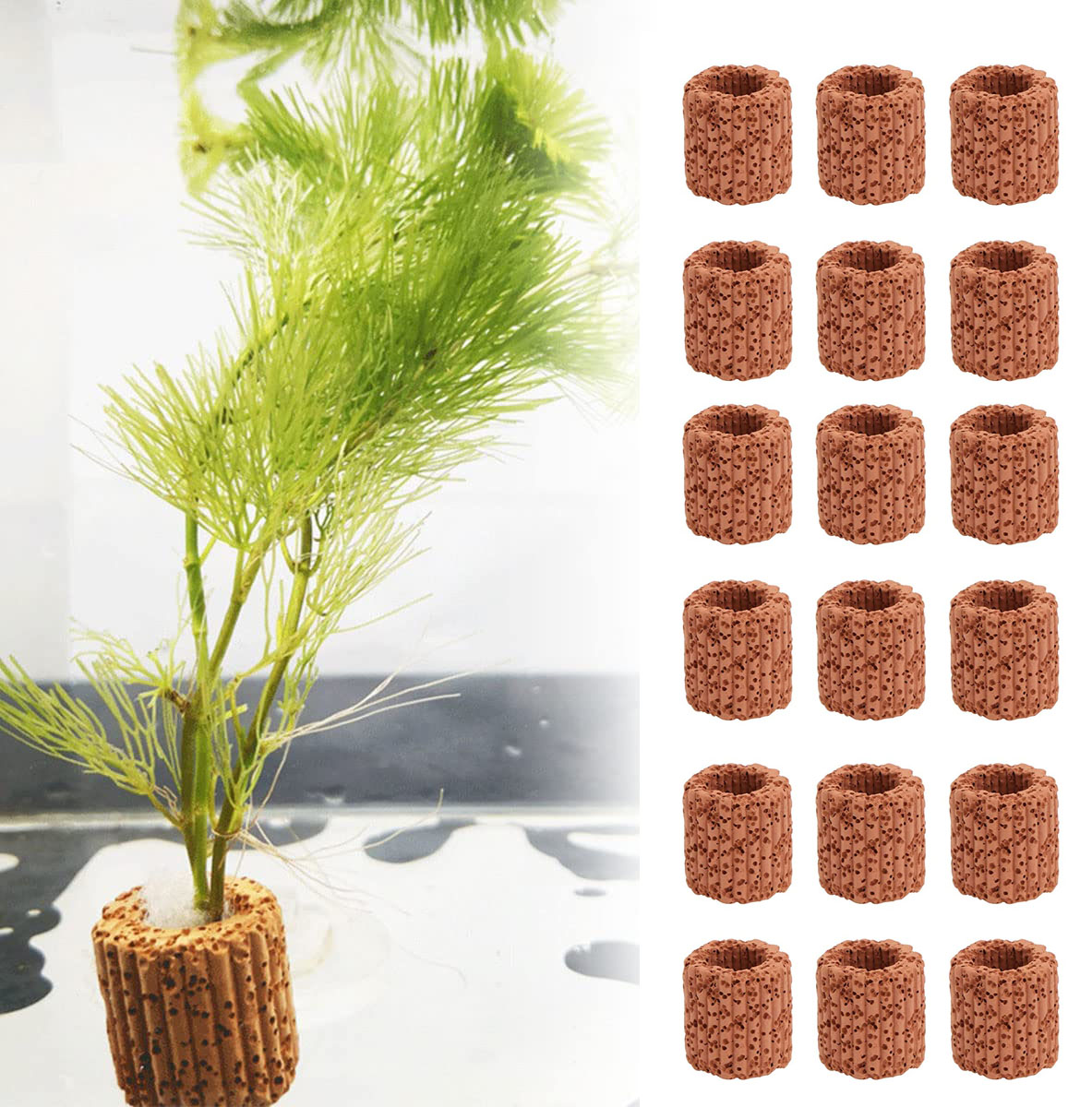 Marine Aquarium Hobby - 10/20Pcs Aquatisch Water Plant Vaste Ring
