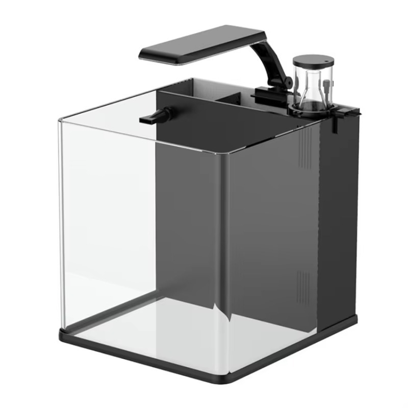 Marine Aquarium In Clearwater - Ultraheldere glazen mini-zoutwateraquarium voor zeevissen