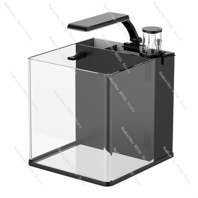 Marine Aquarium In Clearwater - Ultraheldere glazen mini-zoutwateraquarium voor mariene nano-koraalrifvissen