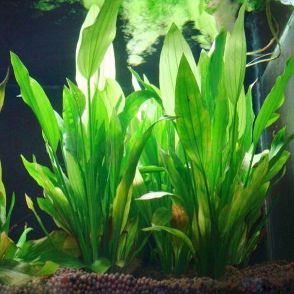 Marine Aquarium Hobby - 15 cm Kunstmatige Aquarium Decor Planten