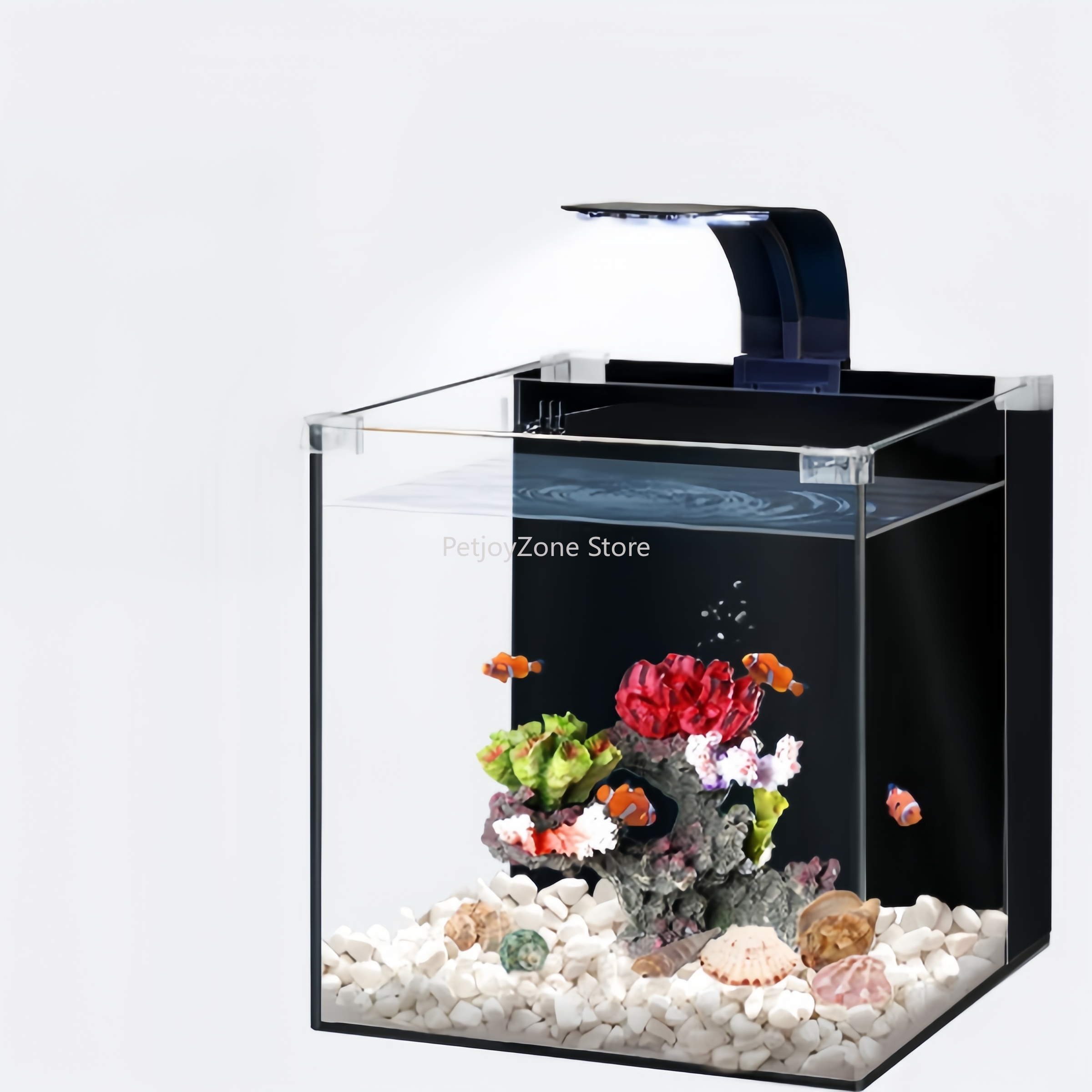 Marine Aquarium In Clearwater - Ultra helder glazen luxe mini zoutwater