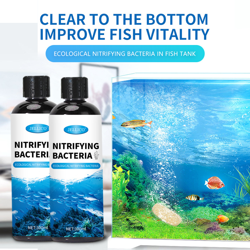 Marine Aquarium In Clearwater - 300ml Nitrificerende Bacteriën Aquarium Waterzuiveraar Decomponeren