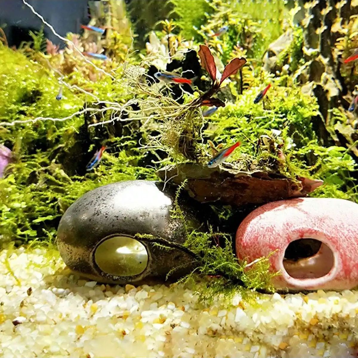 1pc-250g Natuurlijke Kristalle - Marine Aquarium Hobby recensie en prijs