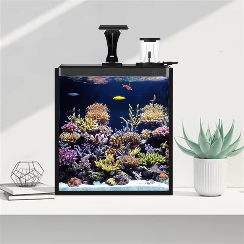 Ultraheldere glazen mini zoutw - Aquarium Marine Clearwater recensie en prijs