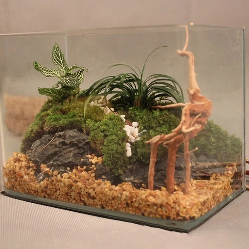 Natuurlijke Boomstam Drijfhout - Marine Aquarium Hobby recensie en prijs