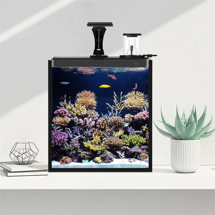 Nieuwste model helder glas min - Marine Aquarium In Clearwater recensie en prijs