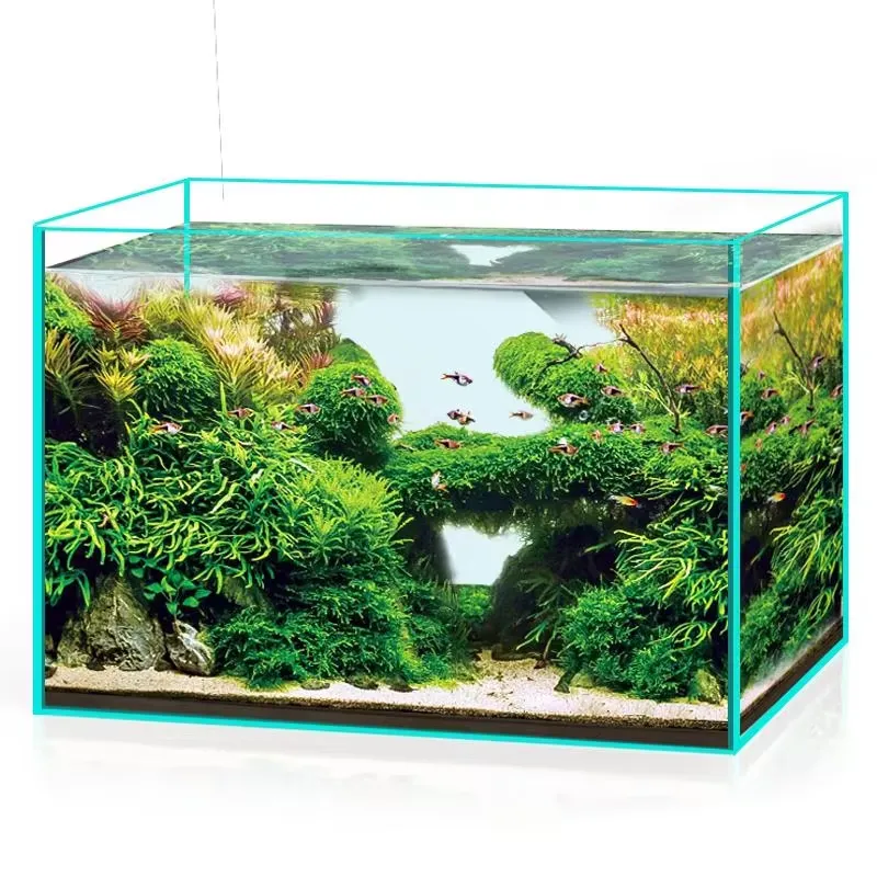 Ultraheldere glazen aquarium v - Marine Aquarium In Clearwater recensie en prijs