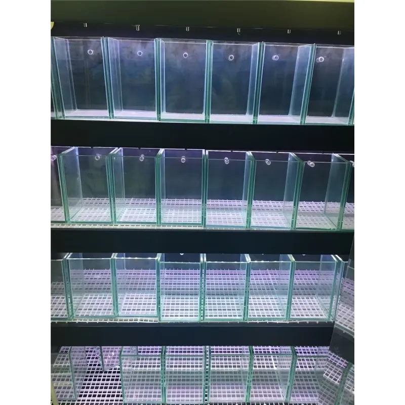 Ultraheldere glazen aquarium v - Marine Aquarium In Clearwater recensie en prijs