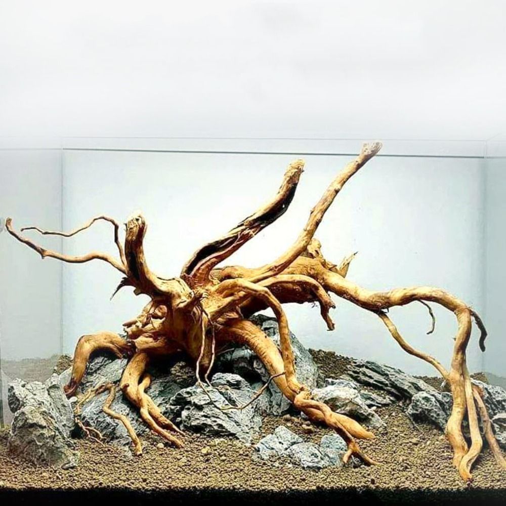 Natuurlijke Boomstam Aquarium  - Marine Aquarium Hobby recensie en prijs