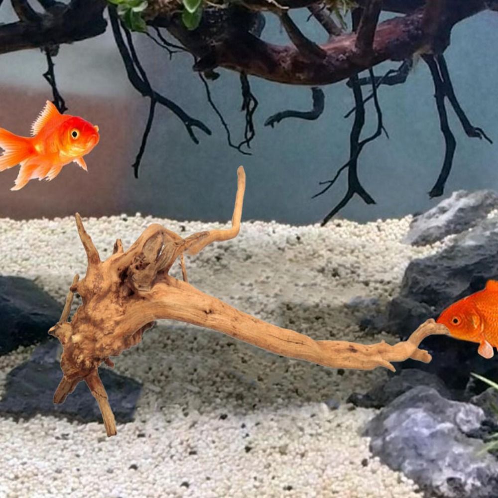 Natuurlijke Boomstam Aquarium  - Marine Aquarium Hobby recensie en prijs