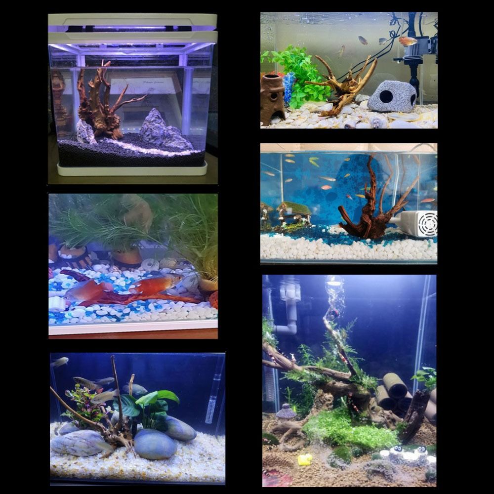 Natuurlijke Boomstam Aquarium  - Marine Aquarium Hobby recensie en prijs