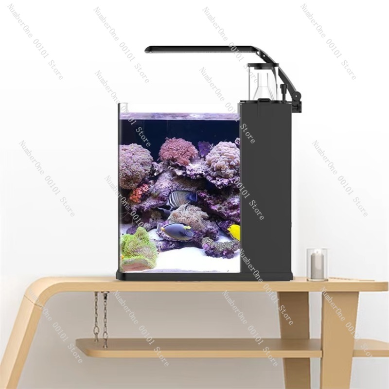 Ultraheldere glazen mini-zoutw - Marine Aquarium In Clearwater recensie en prijs