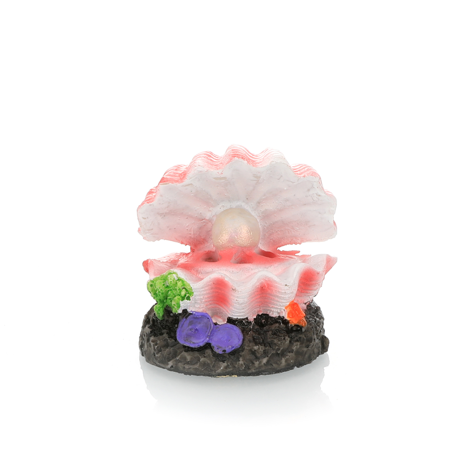 Aquarium Landschapsarchitectuu - Marine Aquarium Hobby recensie en prijs