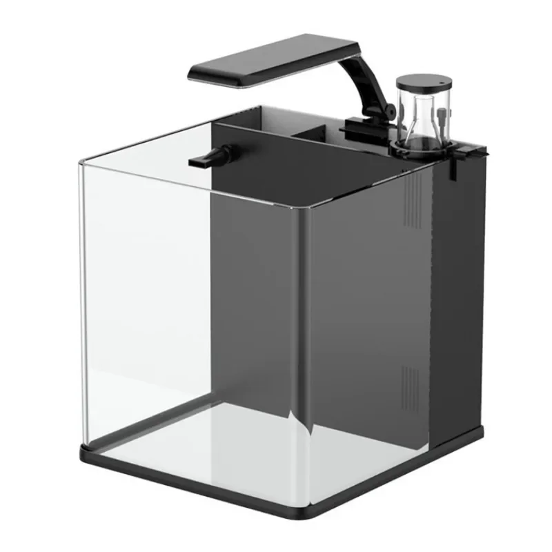 Hete aanbieding: Ultra helder  - Marine Aquarium In Clearwater recensie en prijs