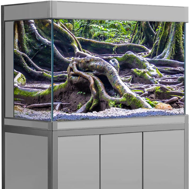 Visbakdecoratie Aquarium Achte - Marine Aquarium Hobby recensie en prijs