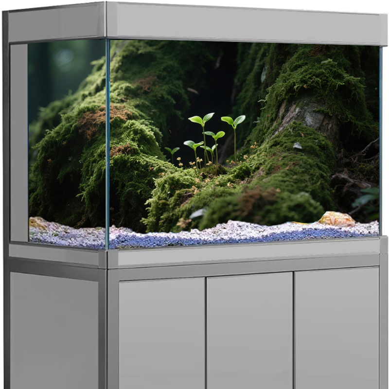 Visbakdecoratie Aquarium Achte - Marine Aquarium Hobby recensie en prijs