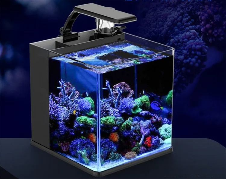 Ultraheldere glazen mini-zoutw - Marine Aquarium In Clearwater recensie en prijs
