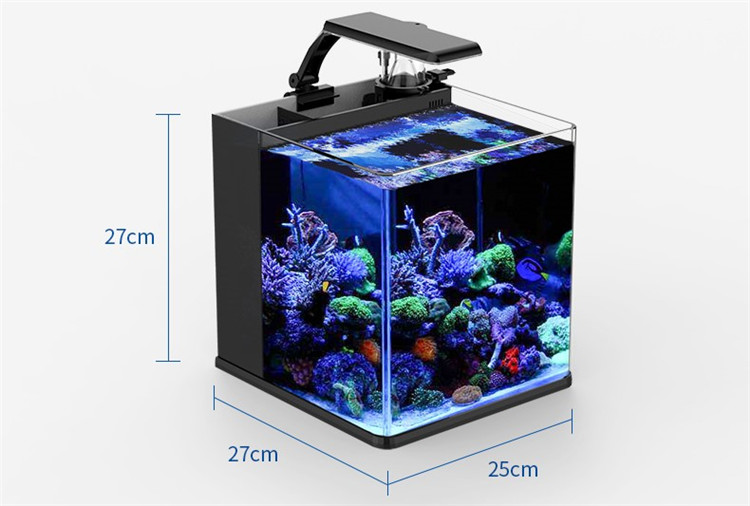 Ultraheldere glazen mini-zoutw - Marine Aquarium In Clearwater recensie en prijs