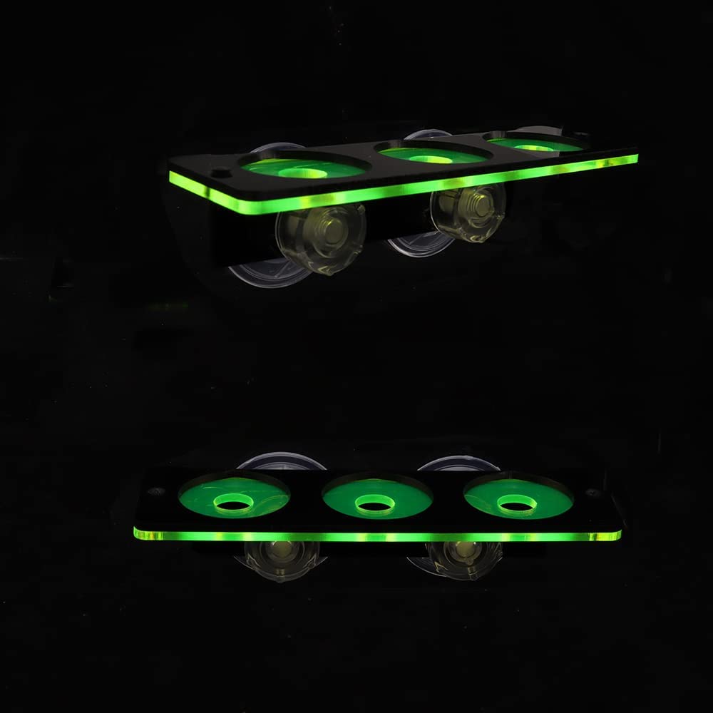 Fluorescerend Koraal Frag Plug - Marine Aquarium Hobby recensie en prijs