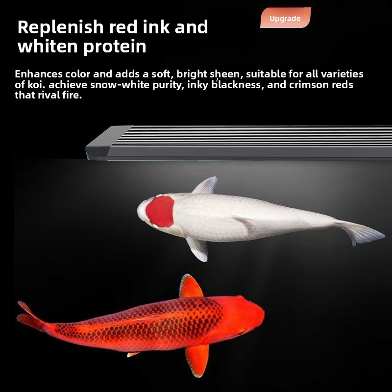 LED aquariumverlichting voor v - Marine Aquarium In Clearwater recensie en prijs